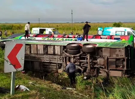 Captura de pantalla 2025-11-25 124627