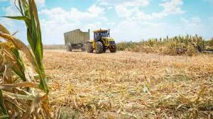 multimedia.miniatura.a871471228270628.bWluaWF0dXJhLndlYnA= (3)