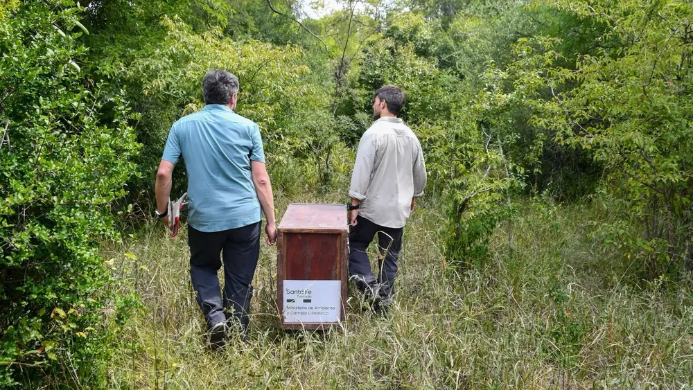 64f37f9c-c778-4fea-941c-795ff485a003ñ