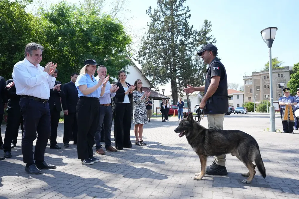 70e2c53f-cbd3-495e-9595-c8030cc92af2