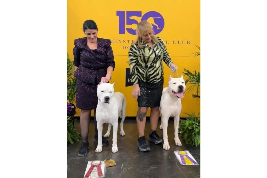 qdl15Lezg_870x580__1