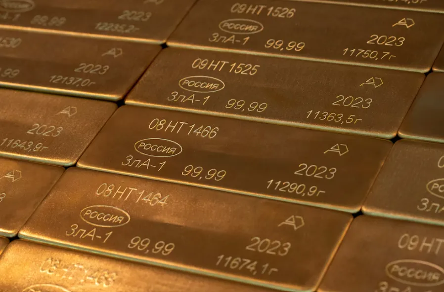 Captura de pantalla 2026-01-08 174322