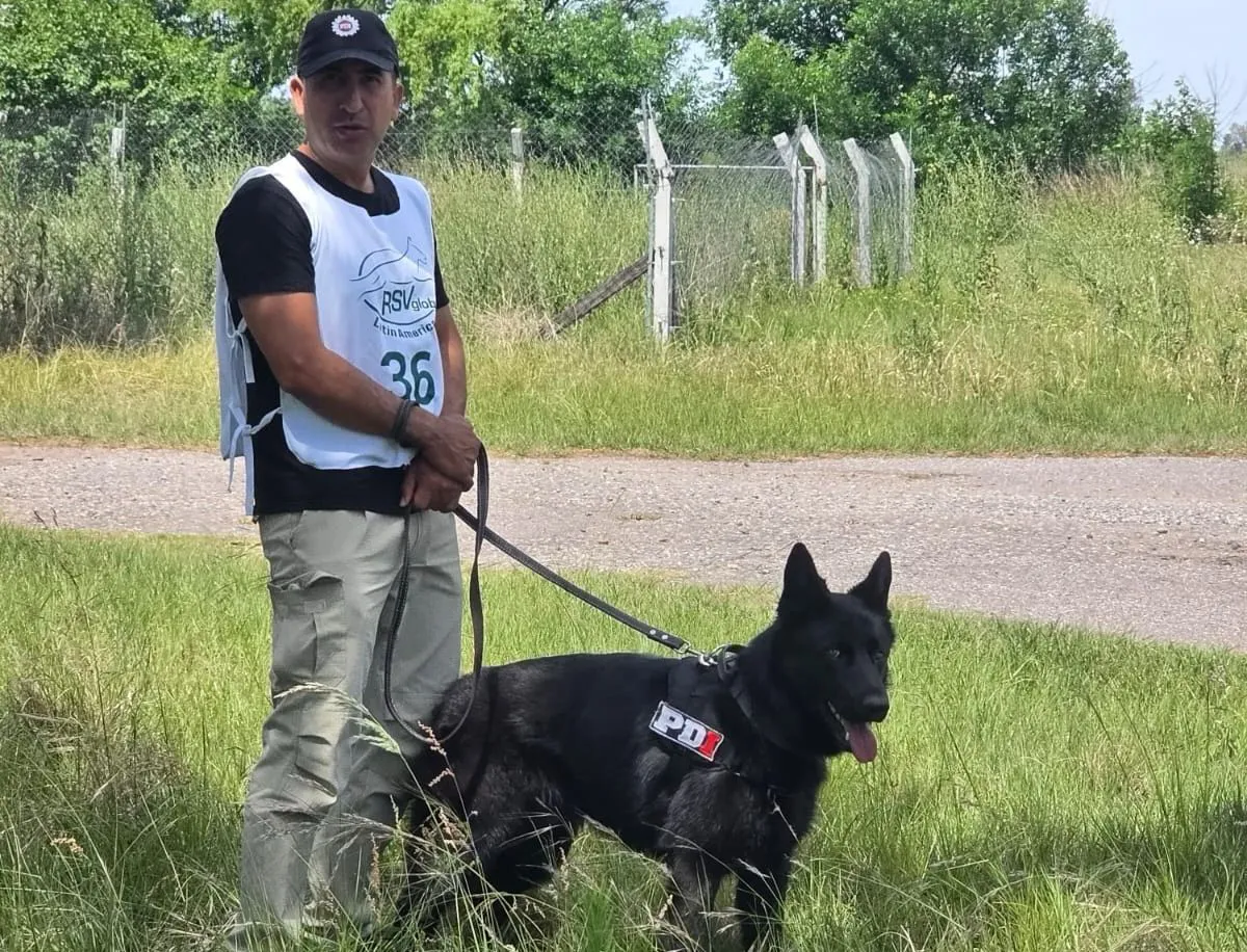 8e176263-8e2d-457f-9c63-2c2d617ecc78