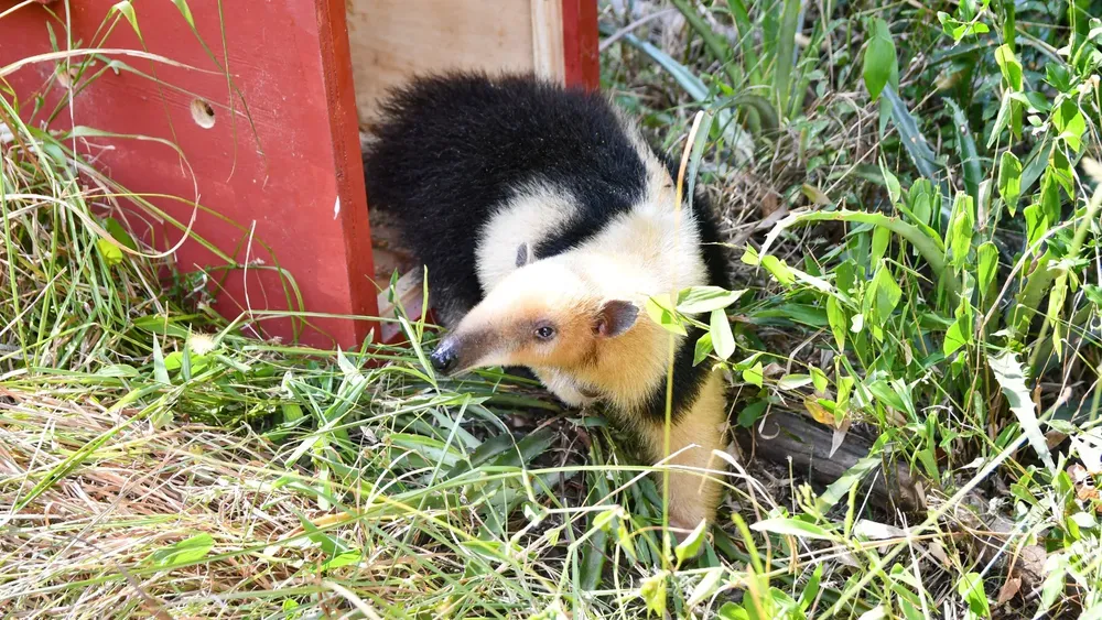 78aced12-082b-4766-9782-bfc7f109b417