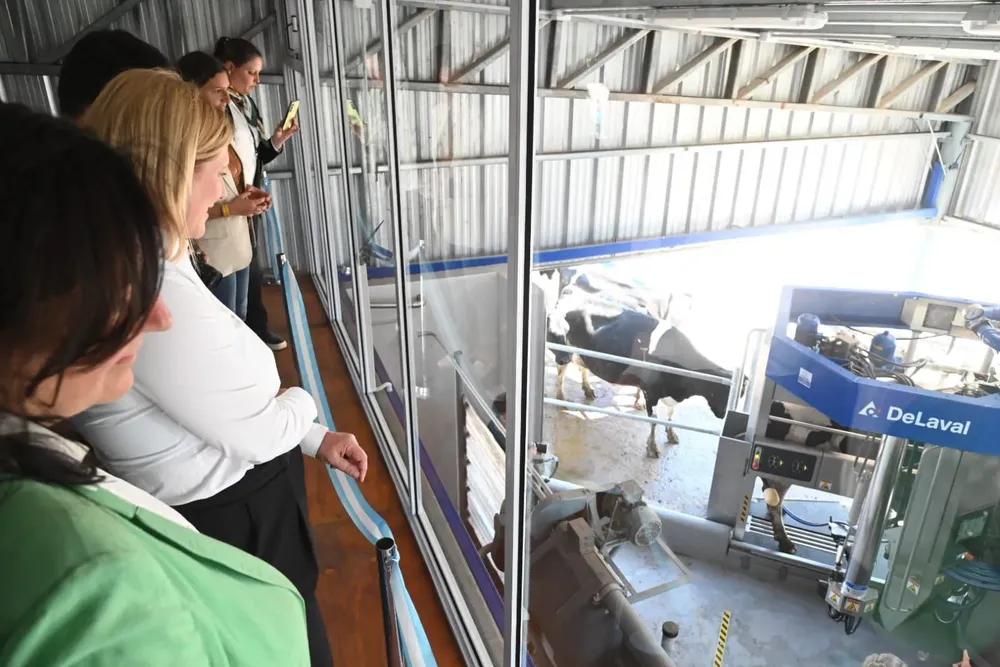 e1bf0a0a-8f72-4298-b81f-7198080c0bfb