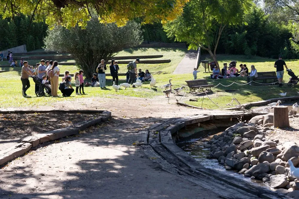 36c21482-1737-4a5a-ac58-de57d81925b0