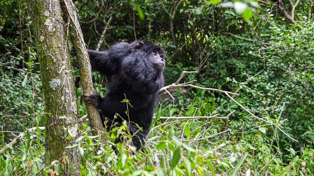 0d1ce57d-889d-4617-b3b5-d276b581e2e5