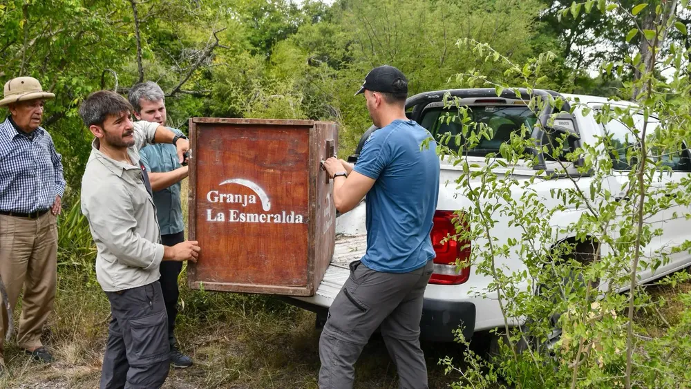 107e1887-4dc8-43c2-9a2c-583d714d0106