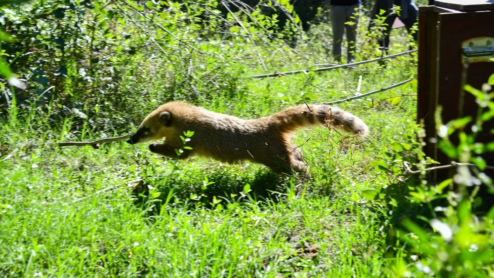 29a90622-73cf-42fe-971b-80b894a93c76