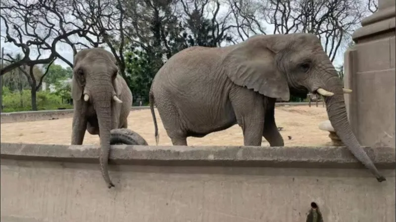 kuky_puoy_1_crop1729626448207.jpg_1756841869