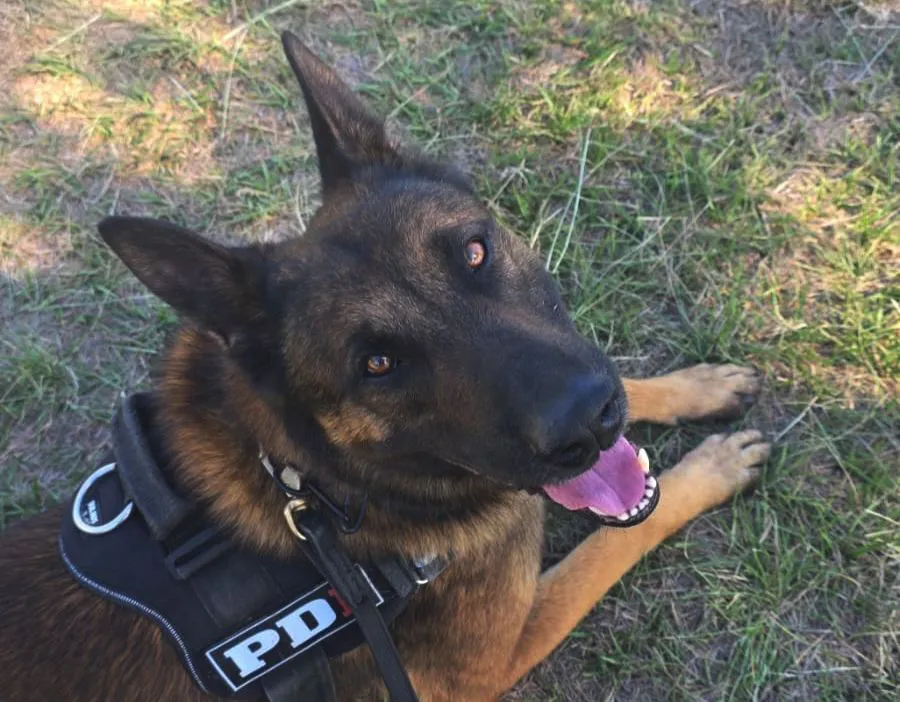 0d30e46e-6127-437d-8710-66a0ffa6f25c