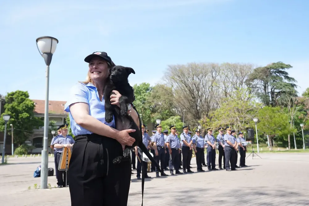 02c13e2b-7b02-4518-b115-9cb517e584c8