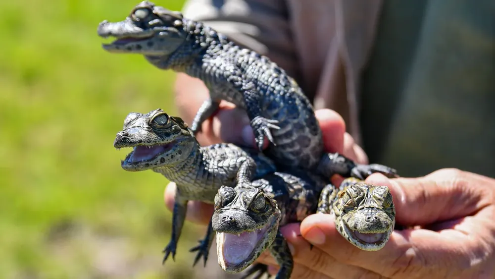 a3ac1007-2060-441d-b21b-7b95479d175e