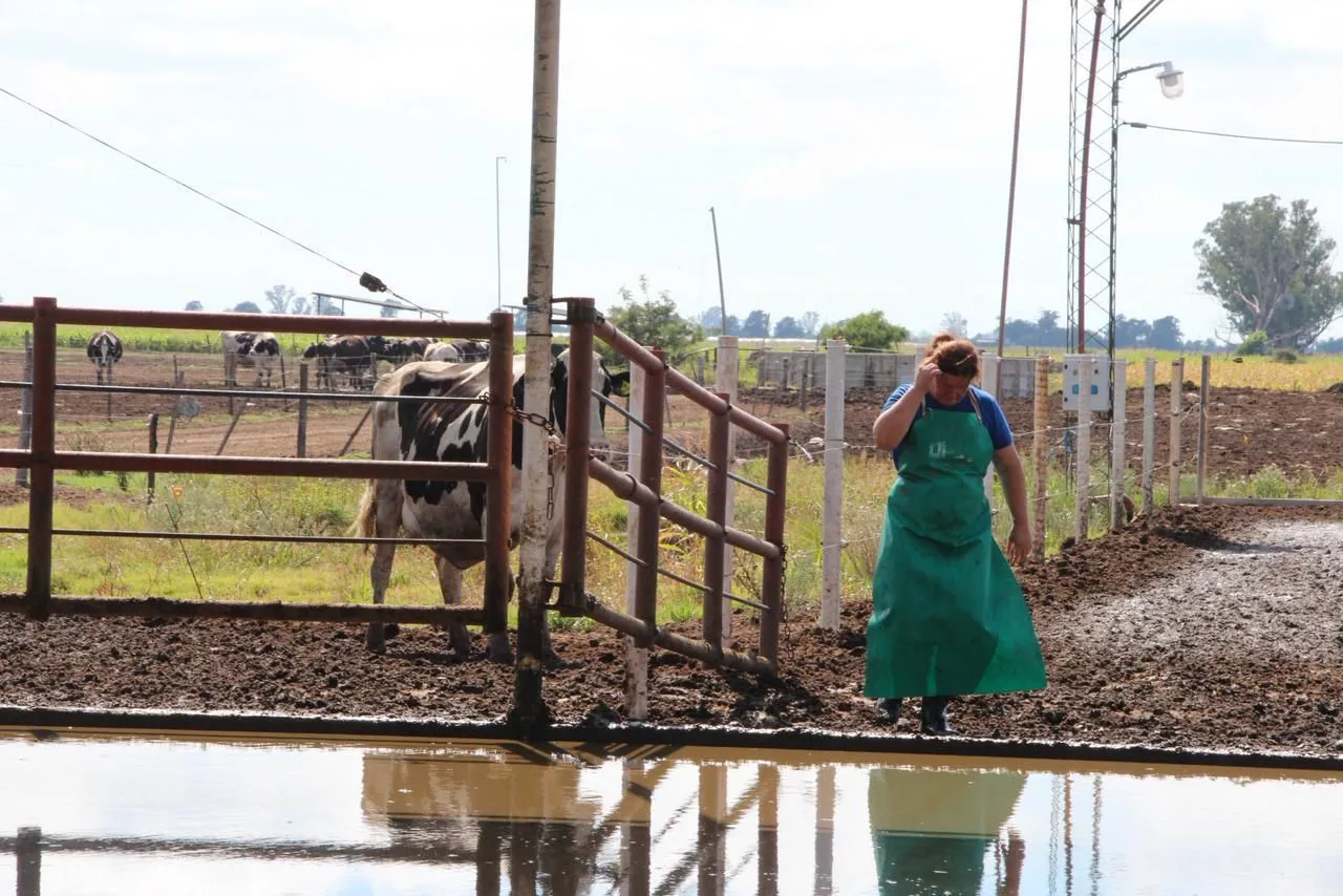 7e2fa263-689e-4526-9cf1-660fa785c2bc (1)