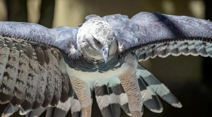 67bddc49dcc27_728_403!