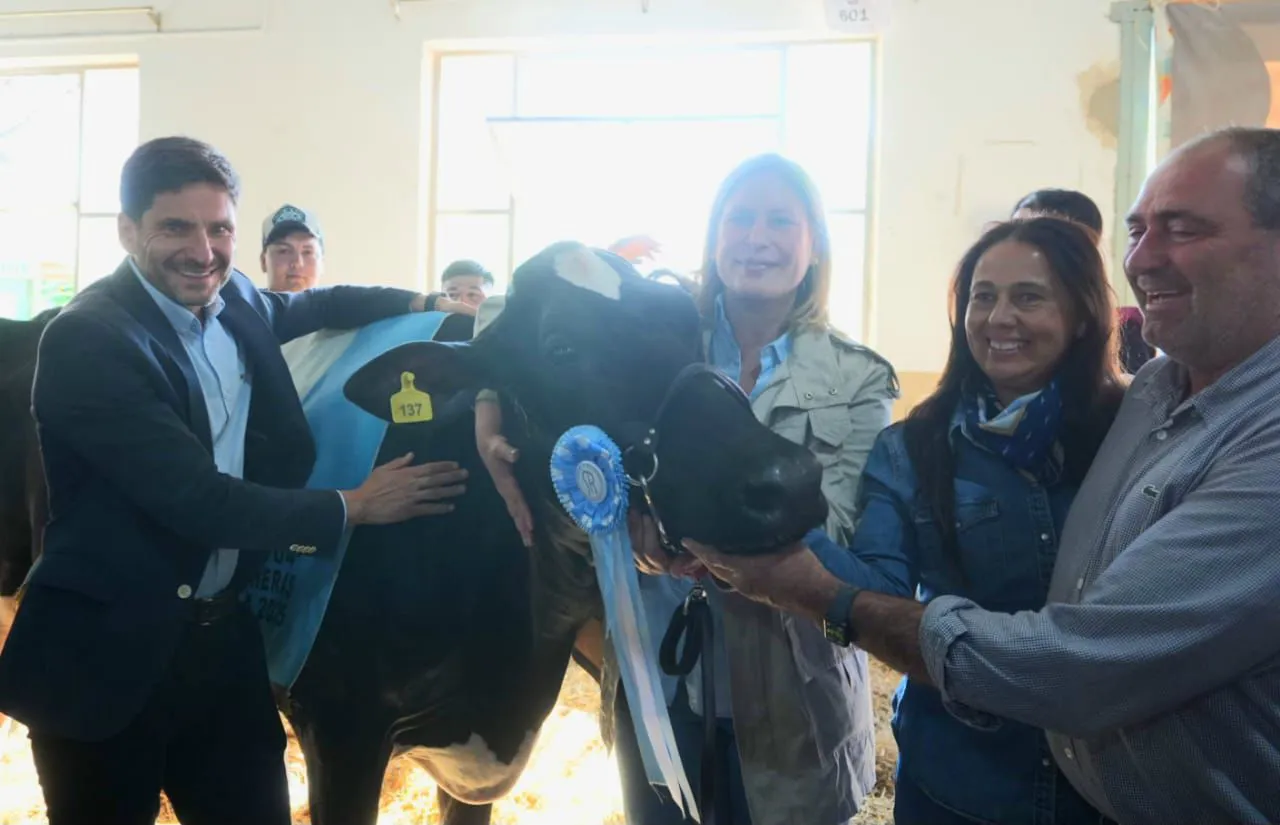 bc96815c-c095-47b3-a765-3e87884e1703