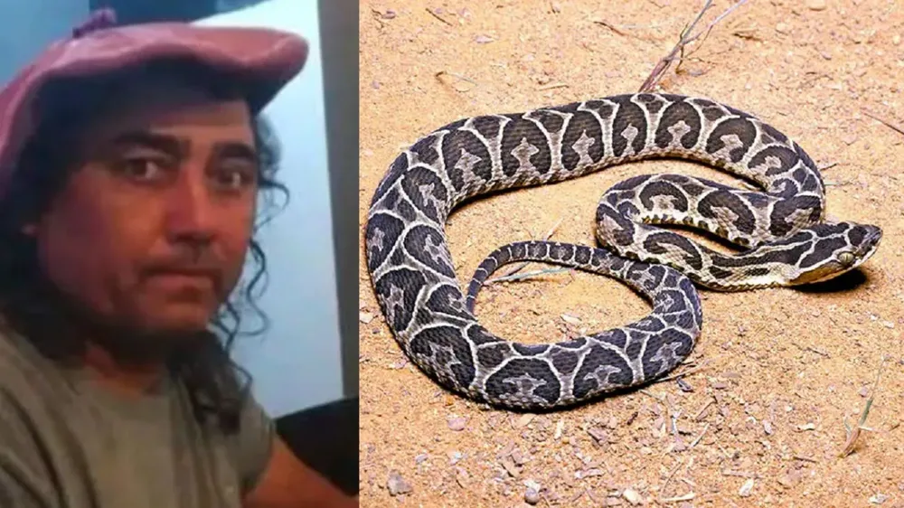 multimedia.normal.b2c0e20110a25bbf.bm9ybWFsLndlYnA=