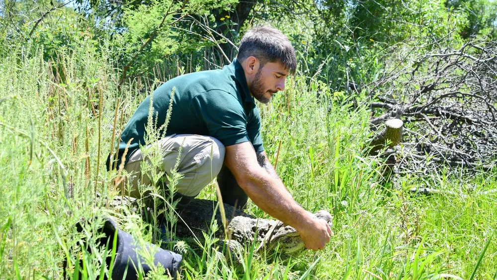 995ef63e-06db-4a58-860b-0e8c8f1796c1