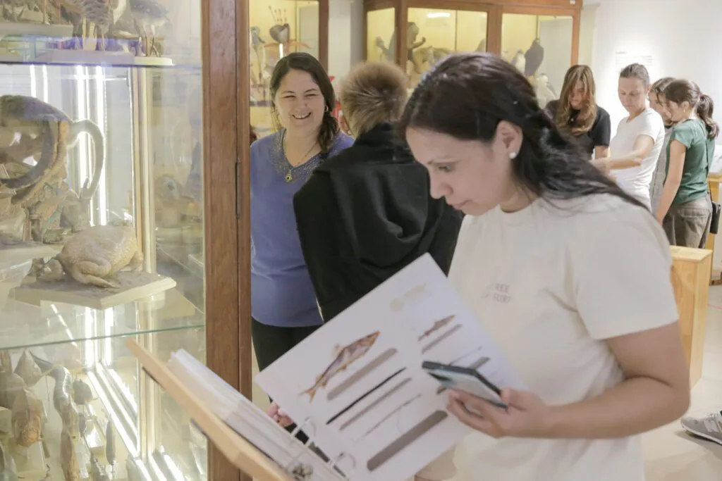 f867615e-26f8-4949-bff4-0cdcff4e3617