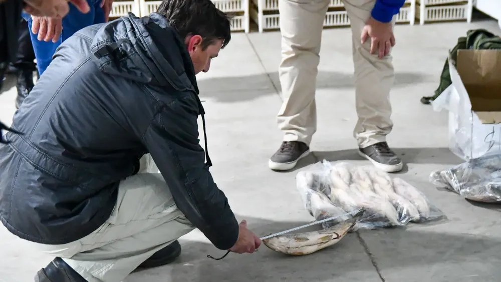 55461b68-04d3-41b6-ab07-23307f7fe3a1