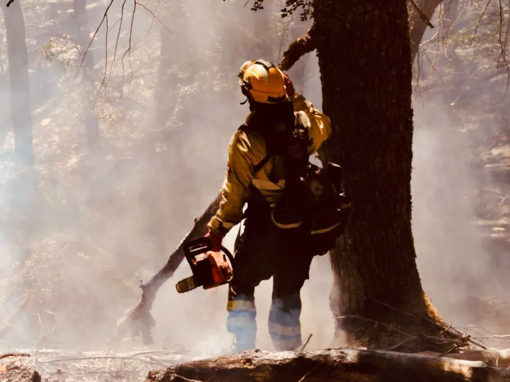 WhatsApp Image 2026-02-06 at 15.11.31 (1)