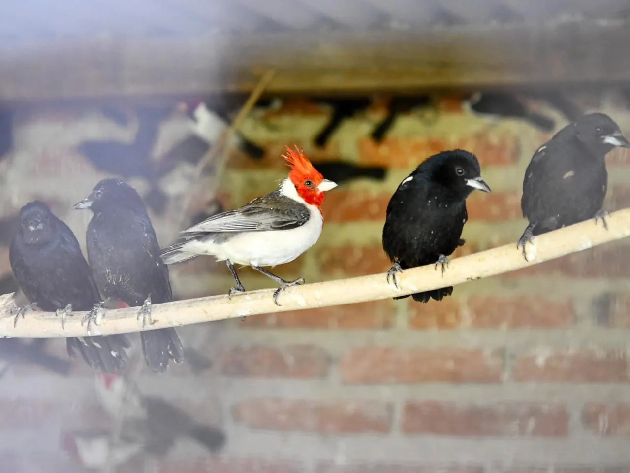 ad3dd311-c0ed-4d5a-bedd-128c8c3e4e16