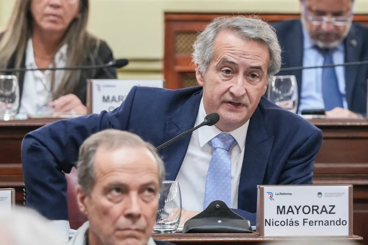 convencion-reforma-constitucion-santa-fe-jg-nicolas-mayoraz
