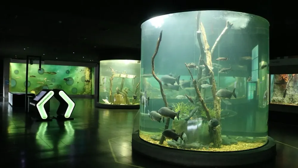 d324ccd5-01f3-4393-b628-05317bf77b97