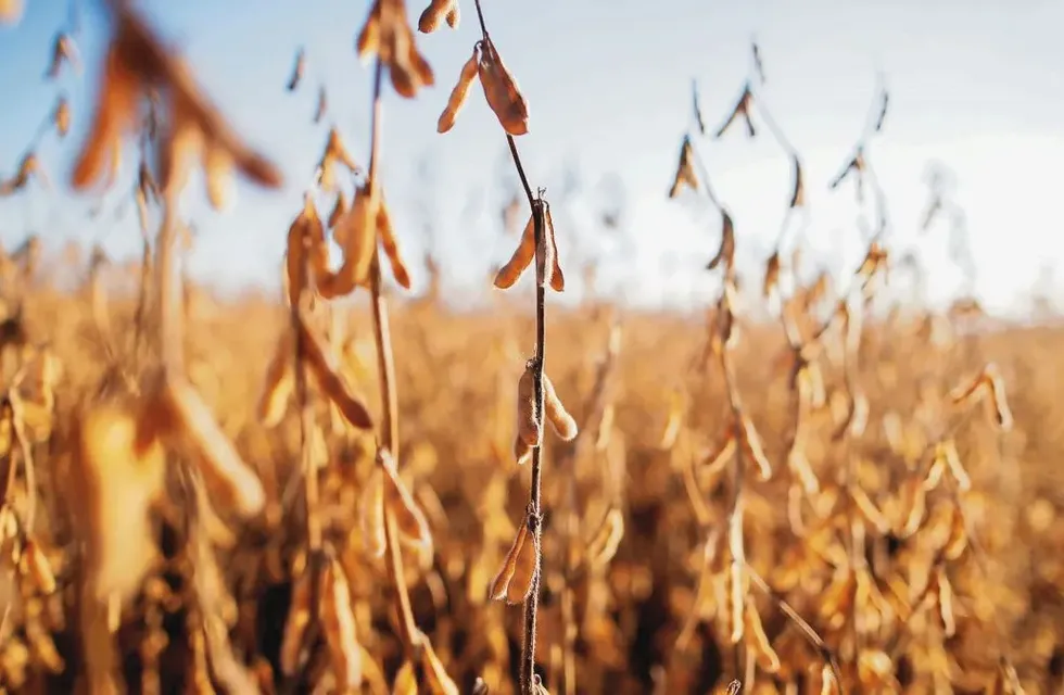 7GAE2DHTAREO5LEOQDVV65KAX4