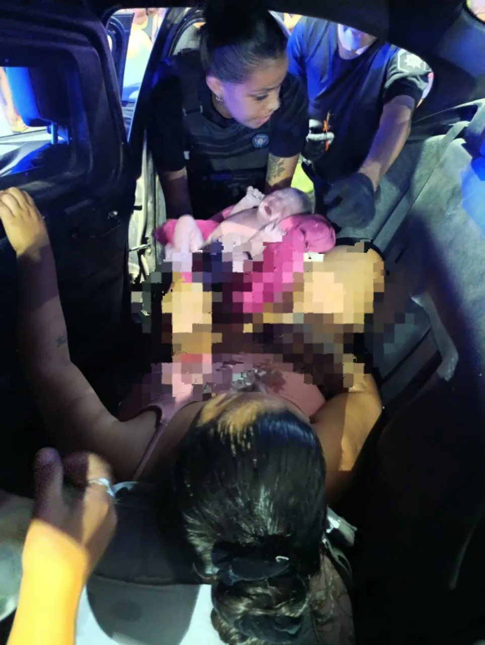 c5721f8d-1f3e-4a66-bdf3-cec7cc37462f