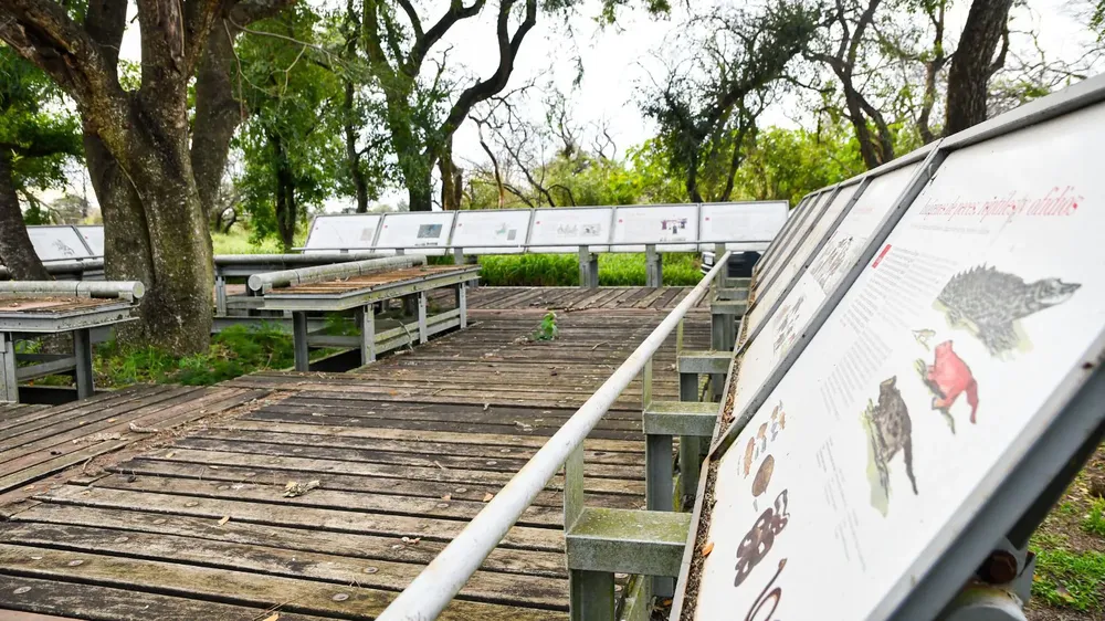 bc7fd815-6ed4-48d0-bec7-c89b228b8fd6