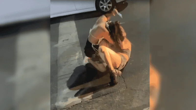 image_-13-.png_815021172