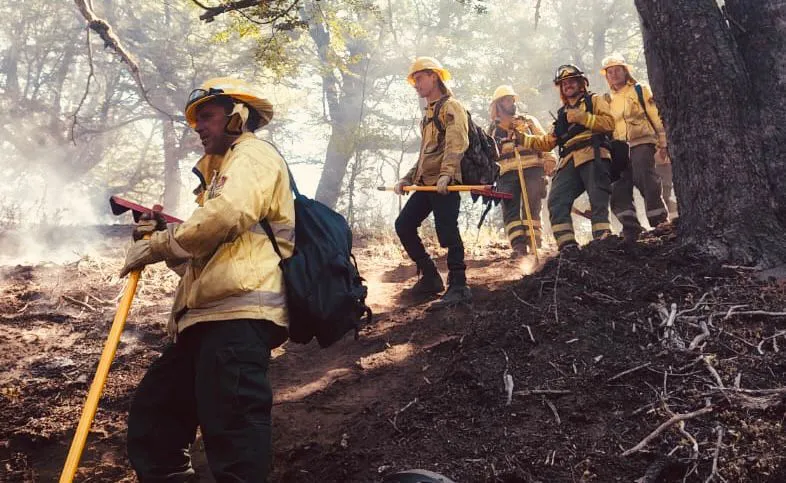 WhatsApp Image 2026-02-06 at 15.11.31