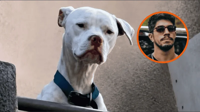 dogo_-2-_1.png_957223930