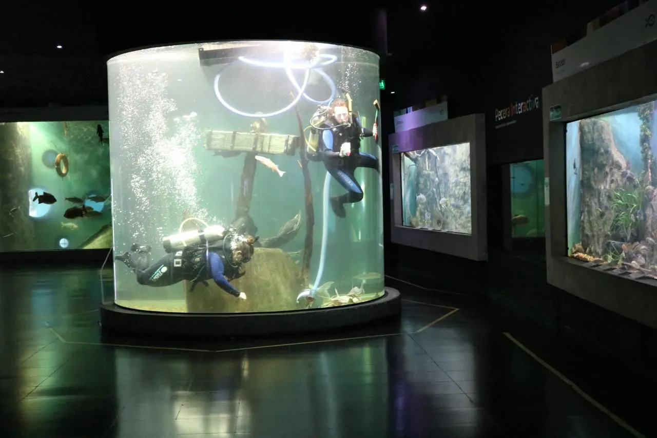 multimedia.normal.bef19574d25753dd.bm9ybWFsLndlYnA=