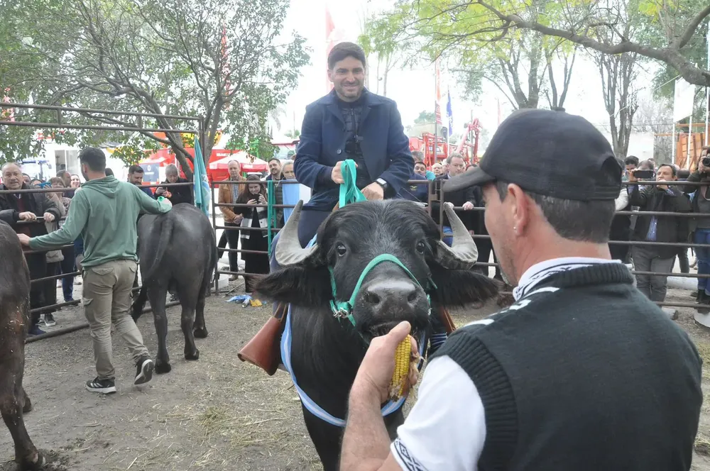 467d0928-9f72-49a8-b8da-d1ba7a6cadd8