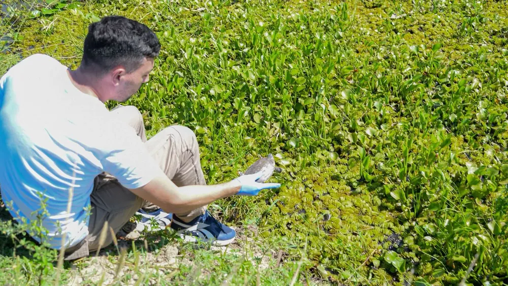 f5e6c170-e29f-4ab4-9b4a-9f7bde1ee22a