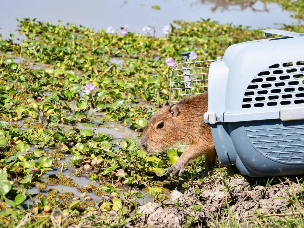 e78f5dfd-f42c-4d8d-b792-5688bc4e9548