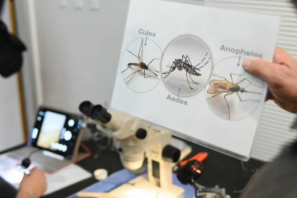 e0bc6829-9404-498c-903b-99aeeaf748e3