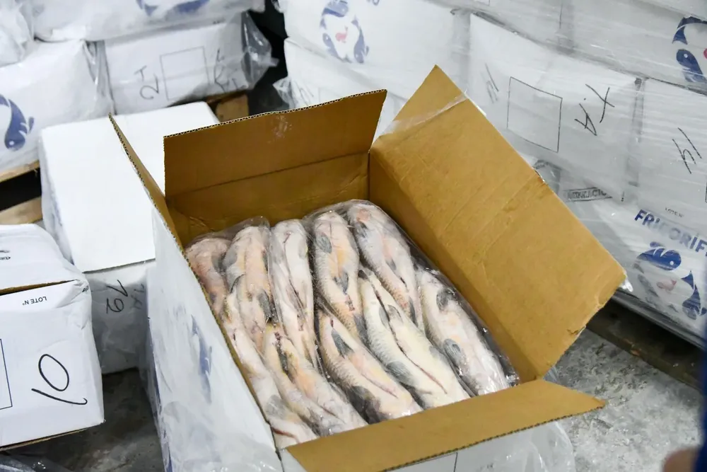 3519acd8-ce34-422e-898a-e06880aa5050